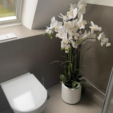 Apartamento Travemuende Am *